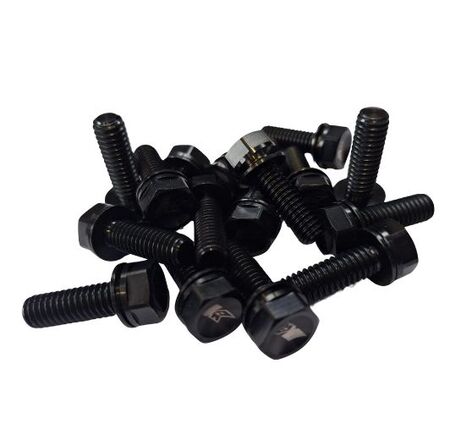 Keizer Titanium Bolt Kit - 13inch Wheel