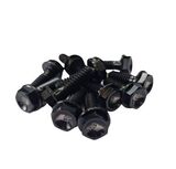 Keizer Titanium Bolt Kit - 10inch Wheel